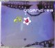 Organic Tea / Simple Music (DOS015-5) DOS 015-5【CDS】最終ラスト在庫 Kept