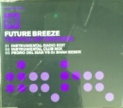 画像1: Future Breeze / Temple Of Dreams 【CDS】