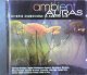 $ Various / Ambient Auras: Diverse Dimensions In Ambient Dub (CDRAID 519)【CD】Y1 後程済