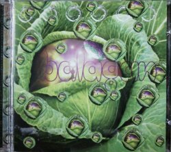 画像1: $ Various / Balagan (symbcd02)【CD】 最終 未 Y2-4F?