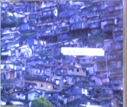 画像1: The Aloof / Favelas 【CDS】残少