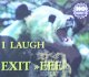 Exit EEE / I Laugh 【CDS】最終在庫