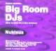 Mario Piu & Nick Sentience / Big Room DJs 【2CD】最終
