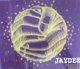 Jaydee / Plastic Dreams 【CDS】最終在庫 未
