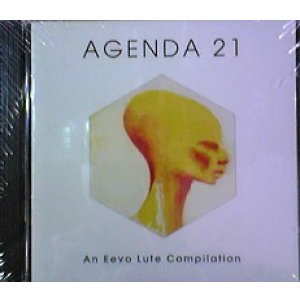 画像: Various / Agenda 21 (An Eevo Lute Compilation) 【CD】ラスト１枚