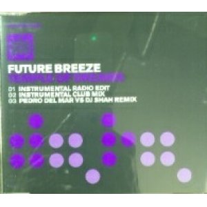 画像: Future Breeze / Temple Of Dreams 【CDS】