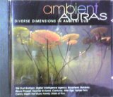 画像: $ Various / Ambient Auras: Diverse Dimensions In Ambient Dub (CDRAID 519)【CD】Y1 後程済