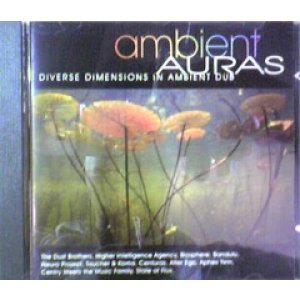 画像: $ Various / Ambient Auras: Diverse Dimensions In Ambient Dub (CDRAID 519)【CD】Y1 後程済