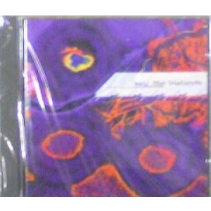 画像: Various / 100% Pure: The Lowlands 【CD】ラスト