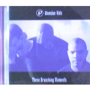 画像: Wamdue Kids / These Branching Moments 【CD】最終在庫 