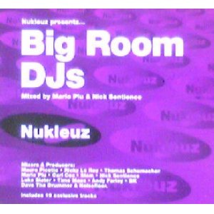 画像: Mario Piu & Nick Sentience / Big Room DJs 【2CD】最終