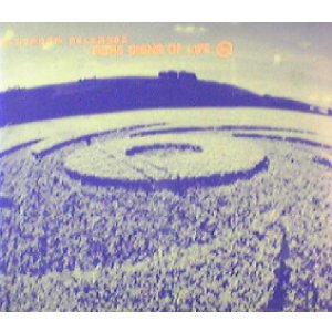 画像: Various / More Signs Of Life 【CD】最終在庫 