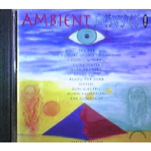 画像: $ Various / Ambient Senses - The Vision (CDTOT12)【CD】Y5
