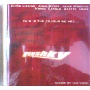 画像: $$ Ian Void / Geushky: This Is The Colour We Are (GYCD001-2) 【CD】Y4