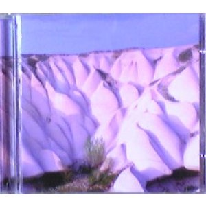 画像: $$ Autechre / Amber 【CD】Y2 店長後程確認