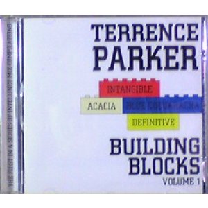 画像: $$ Terrence Parker / Building Blocks Volume 1 【CD】 INTELLI002 Y7