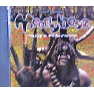 画像: Moody Boyz / Product Of The Environment 【CD】最終在庫