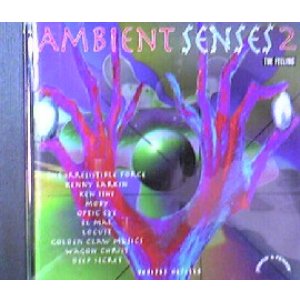 画像: $ V.A. / AMBIENT SENSES 2 (THE FEELING) UK (CD TOT 16)【CD】Y5