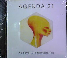 画像1: Various / Agenda 21 (An Eevo Lute Compilation) 【CD】ラスト１枚
