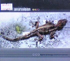 画像1: Amaruvision / Light Energy Performance 【CD】最終在庫 未 