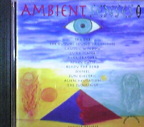 画像1: $ Various / Ambient Senses - The Vision (CDTOT12)【CD】Y5