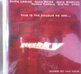 画像1: $$ Ian Void / Geushky: This Is The Colour We Are (GYCD001-2) 【CD】Y4