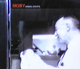 画像1: Moby / Animal Rights 【CD】残少