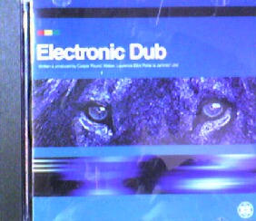 画像1: $ Electronic Dub / Electronic Dub 【CDS】 RSN CD21 Y8 後程済